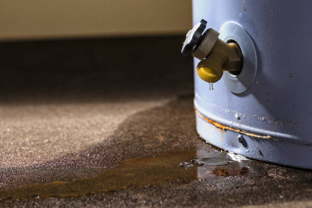 Best Carpet water damage restoration  in Schler Park, IL