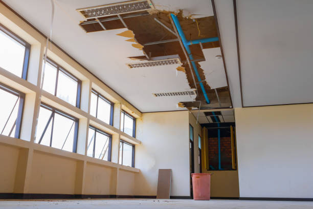 Best Basement water damage restoration  in Schler Park, IL