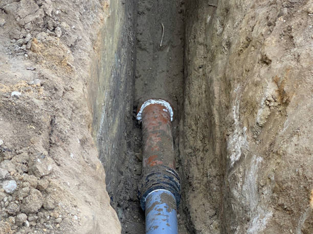 Best 24/7 water damage repair  in Schler Park, IL