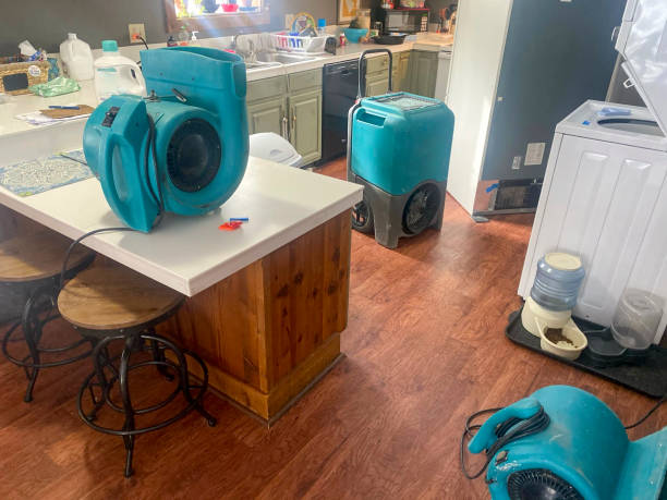 Best Water damage restoration experts  in Schler Park, IL