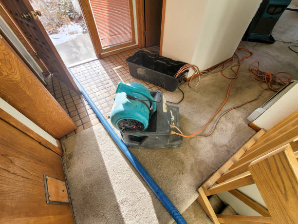 Best Residential water damage restoration  in Schler Park, IL