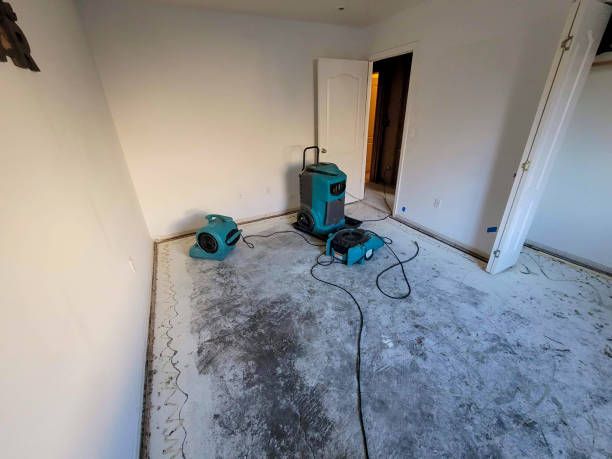 Best Water damage restoration near me  in Schler Park, IL