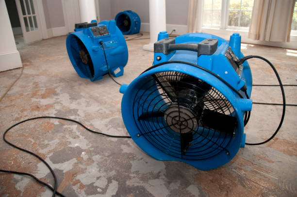 Best Ceiling water damage repair  in Schler Park, IL