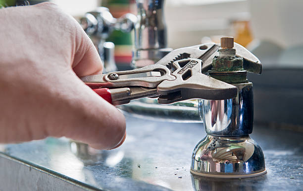 Best Fire Damage Restoration  in Schler Park, IL