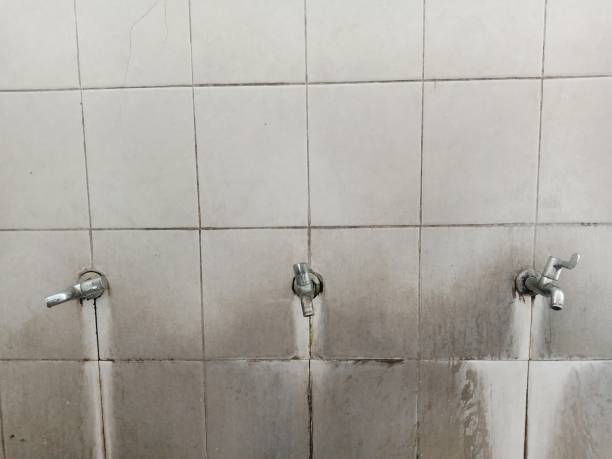 Best Professional water damage repair  in Schler Park, IL