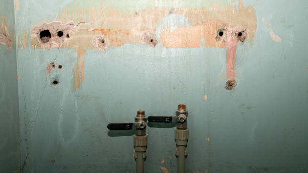  Schler Park, IL Water damage restoration Pros