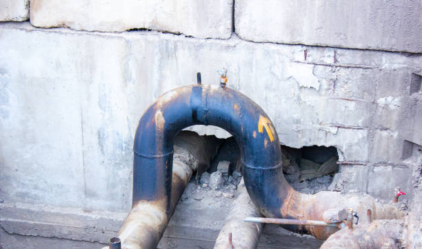 Best Water damage repair service  in Schler Park, IL