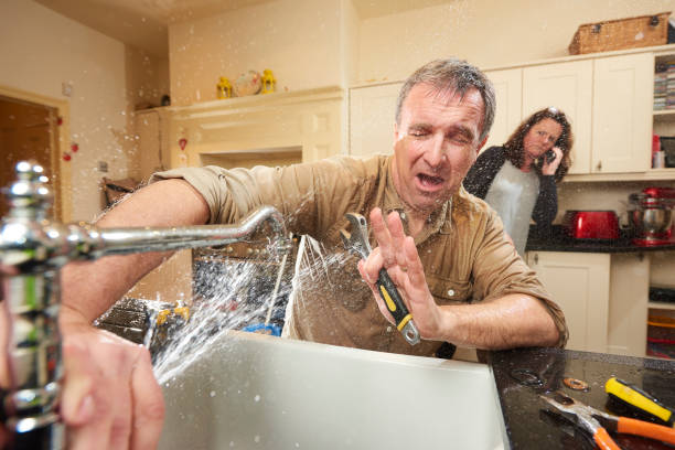 Best Water damage cleanup near me  in Schler Park, IL